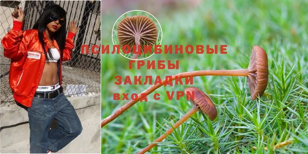 прущая мука Бронницы