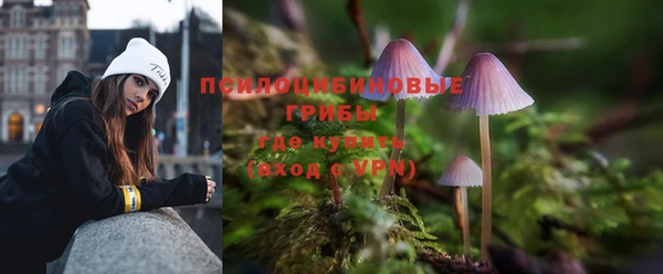 jwh Губаха
