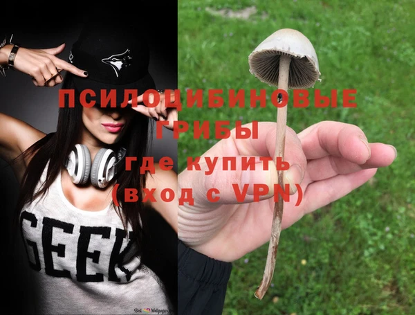 ешки Болотное